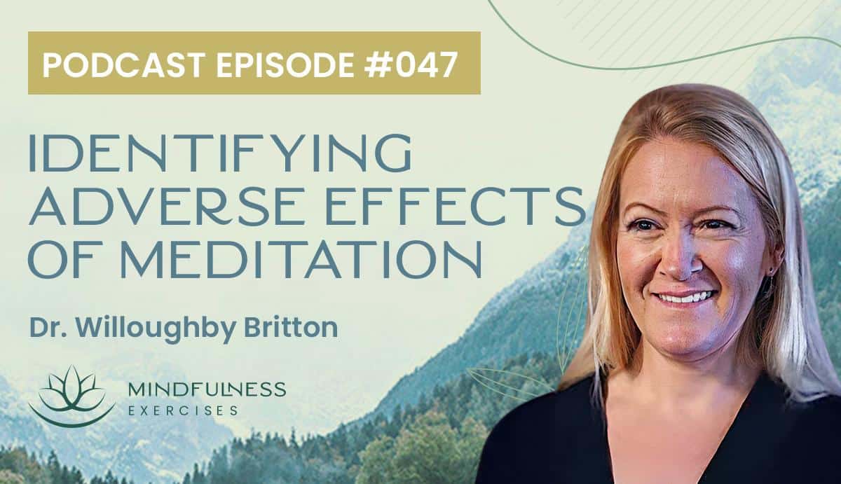 Identifying Adverse Effects of Meditation, with Dr. Willoughby Britton