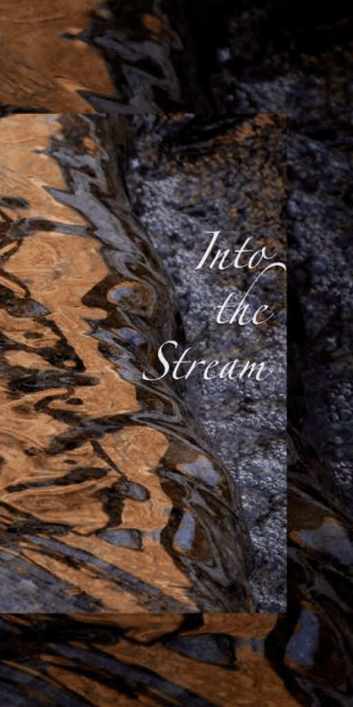 Into the stream