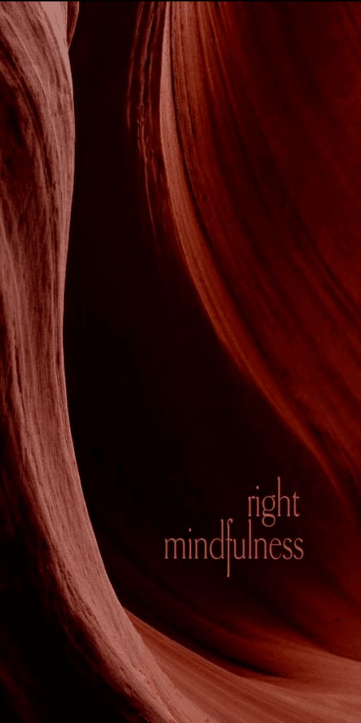 Right Mindfulness Memory and Ardency on the Buddhist Path