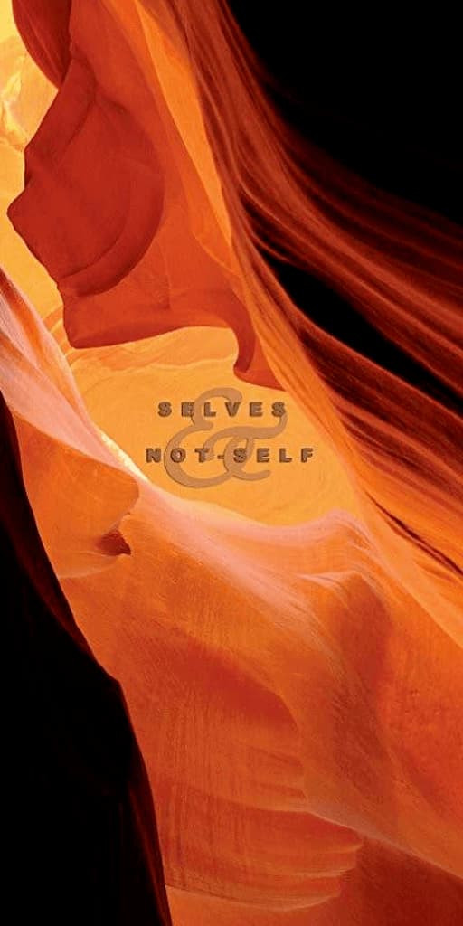 Selves and Not Self The Buddhist Teaching on Anatta