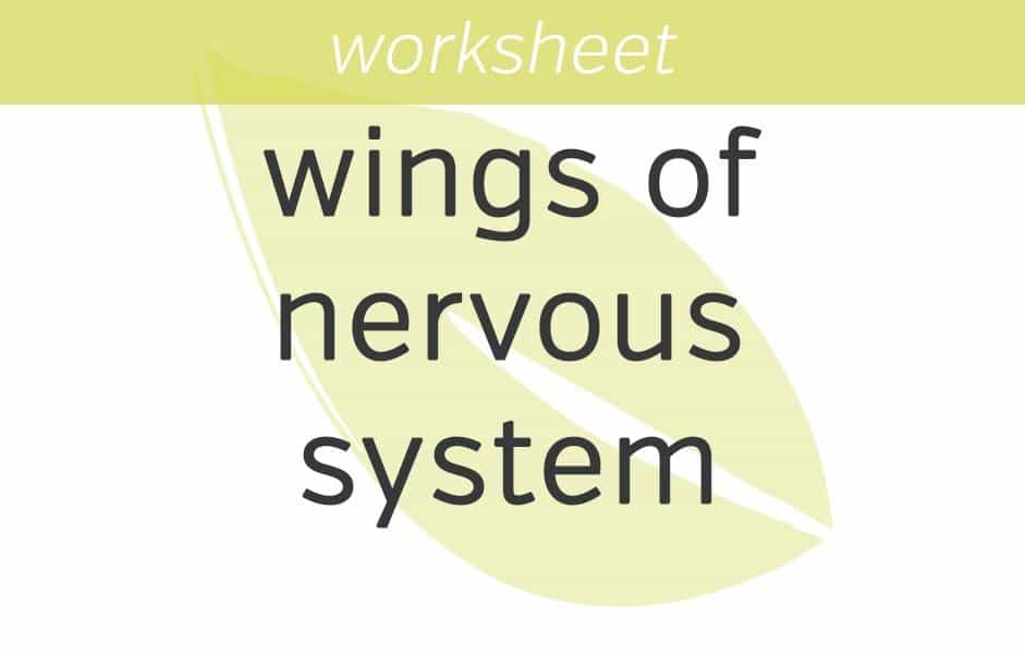 Activating the Parasympathetic Wing of Your Nervous System