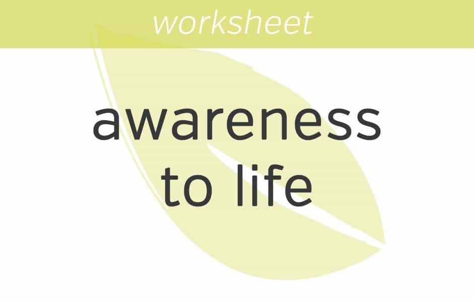 Bringing Basic Awareness to Your Life