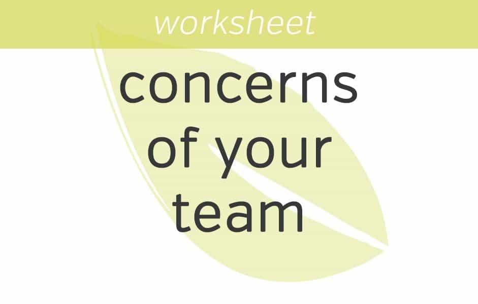 discovering the concerns of your team