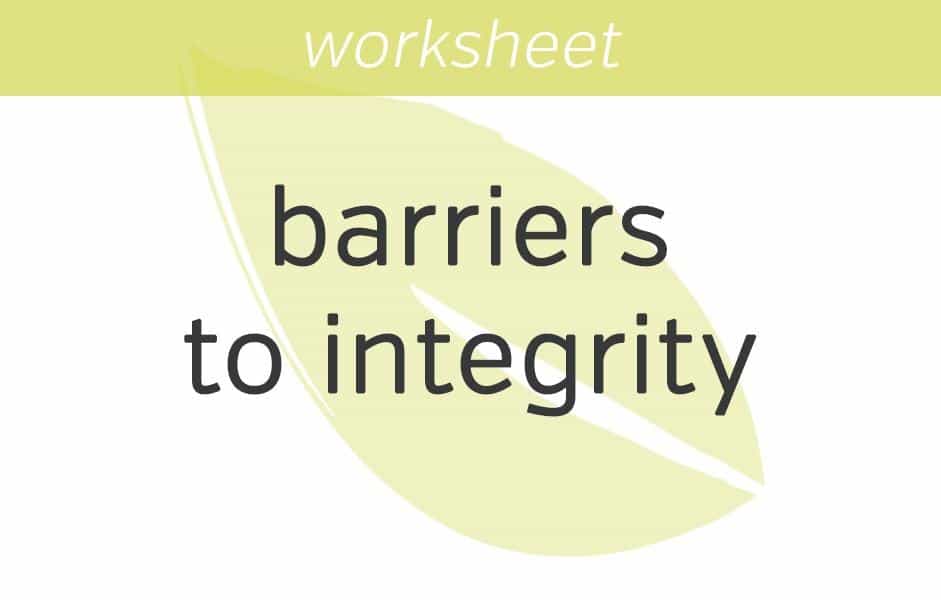 dissolving our barriers to integrity