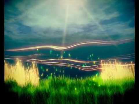 Hoβoponopono Hawaiian Prayer + Binaural Beats