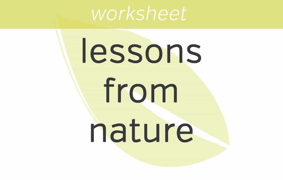 Lessons from Nature