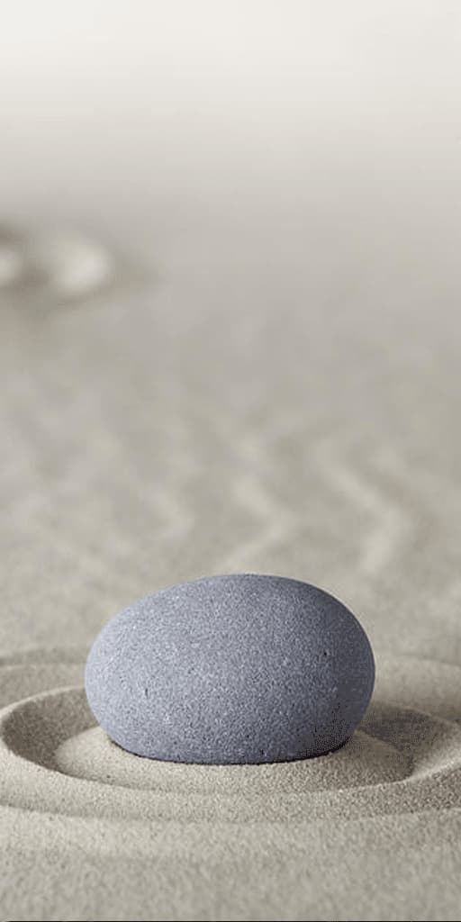 Mindfulness Meditation Guide and Journal