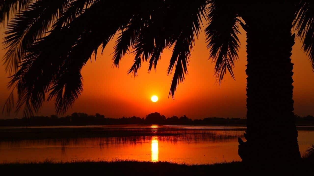 Calming Mindfulness Meditation Before Sleeping