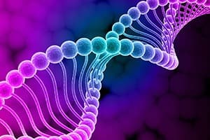 Repairs DNA And Brings Positive Transformation