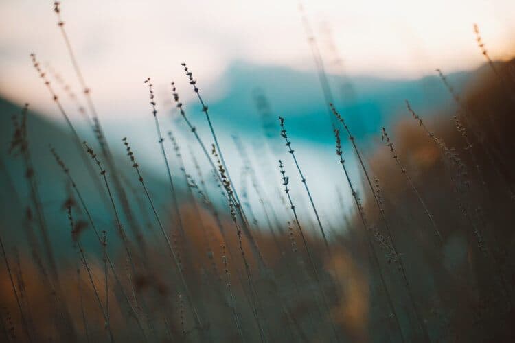 Rain for Difficult Emotions