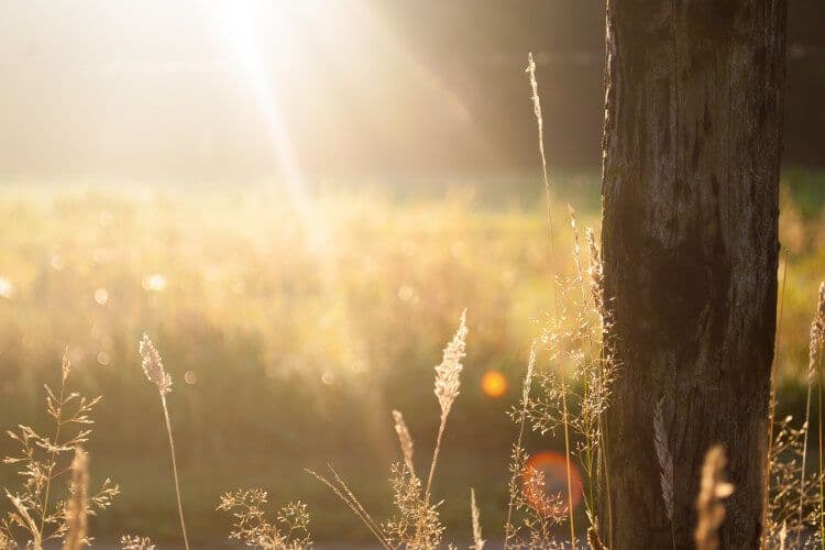 Visualizing Your Day as You Wake Up