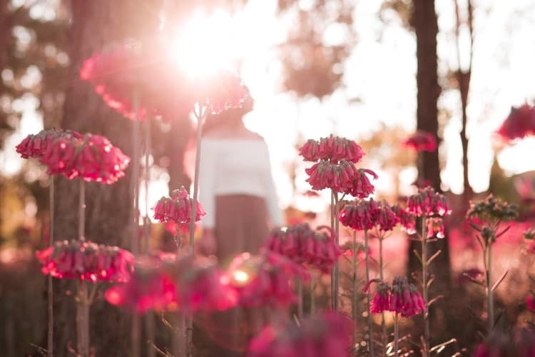 The Power of Loving Kindness & How to Cultivate It