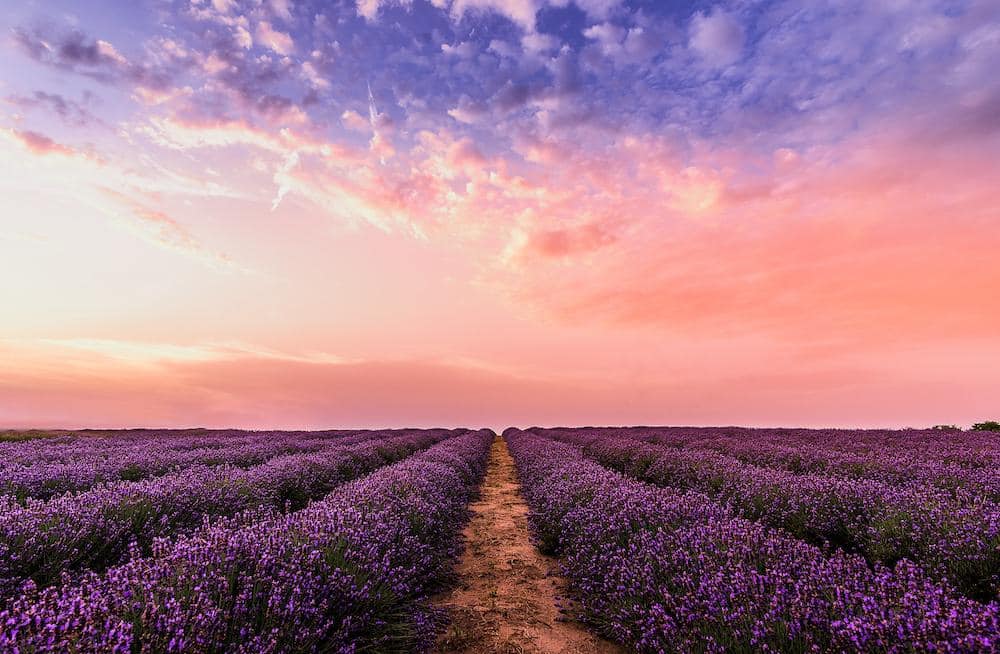 Cultivating Self-Care and Extending It Out