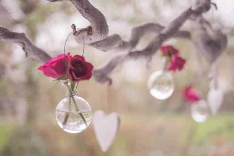 Self Compassion Visualization