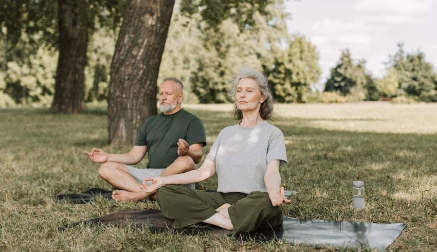 Spring Meditation: Bringing Mindfulness to the Season of New Life