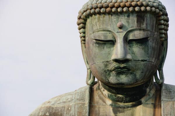 Mindfulness of Clear Seeing